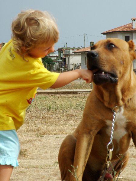 voglio sentire i tuoi denti AMICO MIO.jpg - Click to close this window